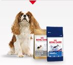 ROYAL CANIN ER IGEN SPONSER FOR EN MASSE FODERPRÆMIER TIL KLUBMESTERSKABET