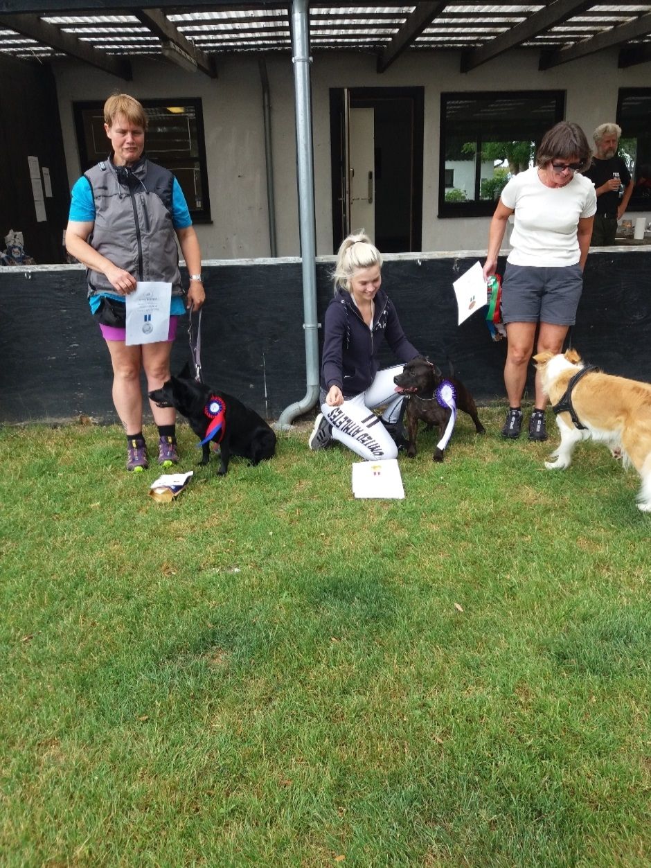 Agility Begynder:
Kathrine med Keenai  - Klubmester
Heidi med Yatzy – 2. plads
Sonja med Aika – 3. plads
