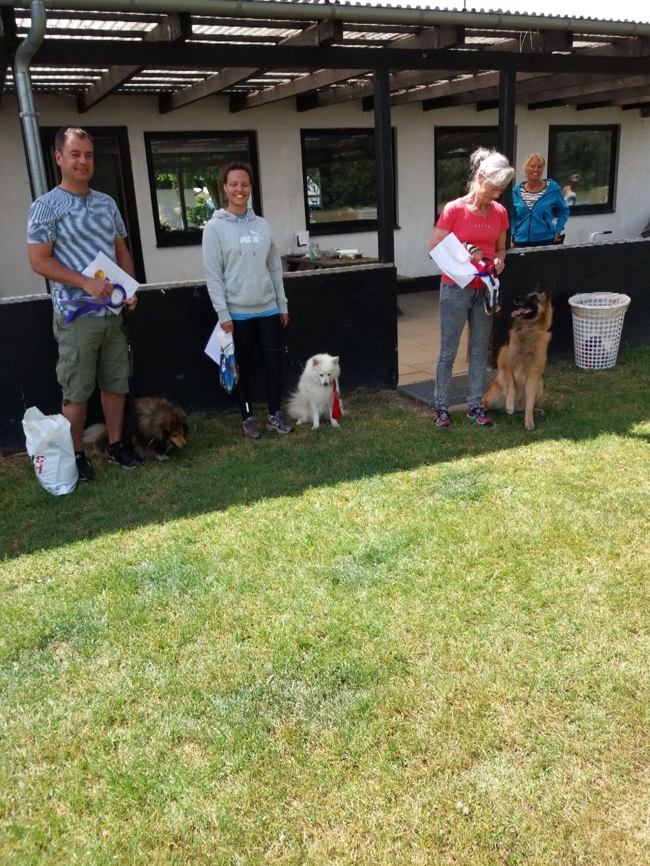 Agility Øvede 
Carsten med Lui – Klubmester
Margot med Ici – 2. plads
Daniela med Gaia – 3. plads


