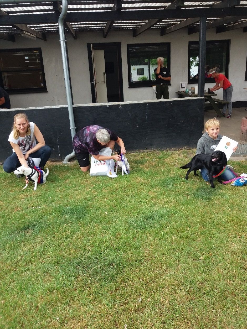 Agility Let øvede mandag
Britta med Asti – Klubmester
Janne med Lolo – 2. plads
William med Gypsy – 3. plads
